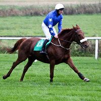 Castle Ranger , Winner - Jockey Mr M J O'Connor - FT8E5265-e