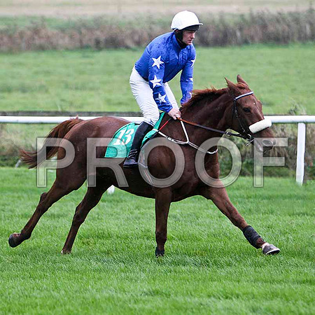 Castle Ranger , Winner - Jockey Mr M J O'Connor - FT8E5265-e