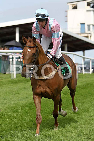 Clifton Debut 3rd, Jockey A E Lynch- CU2D1729-e