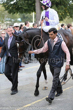 13 Wexford Town and K J Manning - - 13th (2 ,white, purple panel ) Trainer - J S Bolger