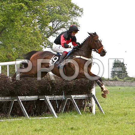 Maypole Dancer, Unplaced, Jockey C Cully - FT8E2520-e