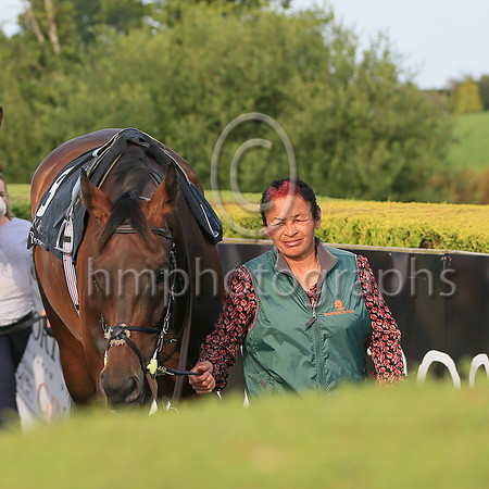Groom Hazel Galloway leading Peratan in the parade ring before Her Majesty's Place Listed Race at Down Royal on 22nd July 2022. Peraton won the race ridden by Wayne Lordan
