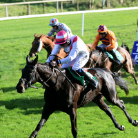 01st Fag An Bealach and D Meyler ( 9 , white, pink sash ) Trainer - A L T Moore , Owner - Marcus Beresford  Athene Keatinge  T Murray