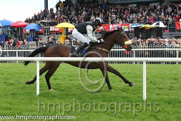 02 Ballintotty Boy & Mr P A King - 2nd (2, black, grey diamonds) - CU2D1854-34