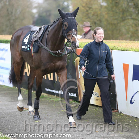 02 Arctic Fire and R Walsh - - 02nd (4 ,purple, orange seams ) Trainer - W P Mullins