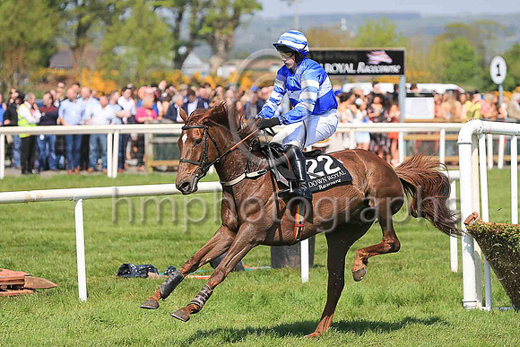 10th Piranto and Reserve 2 ( 22 , royal blue, white hoop ) Trainer - M G Quinn , Owner - McNally Racing Syndicate