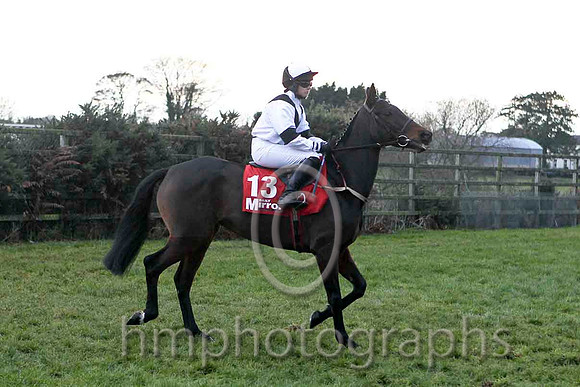 Lady Olwyn , Jockey Ms L O'Neill - 2nd - FT8E4901-e