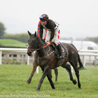 2014/12/26th - Race 1 at Down Royal on Boxing Day