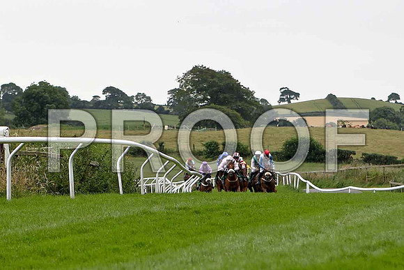 Cuchullain in the lead , finished 8th, Jockey Mr M G Nolan - CU2D0947-e