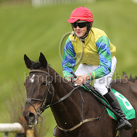 01st THE BALER and F Stack ( 8 , YELLOW; blue sleeves,green chevrons; red cap ) Trainer: Liam O'Farrell , Owner : Liam O'Farrell