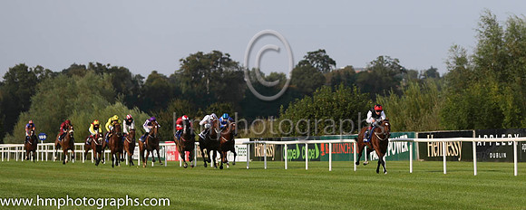 01 Free Eagle and P J Smullen - - 01st (7 ,black, white sleeves, red cap black star ) Trainer - D K Weld