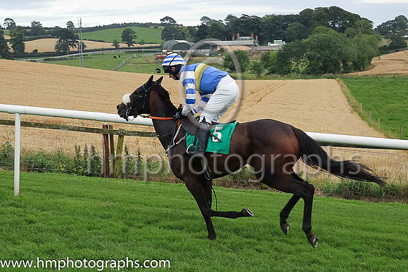04th Tubeross Well and Mr N McParlan ( 5 , royal blue, yellow hoop ) Trainer - J Larkin , Owner - J B Flanagan