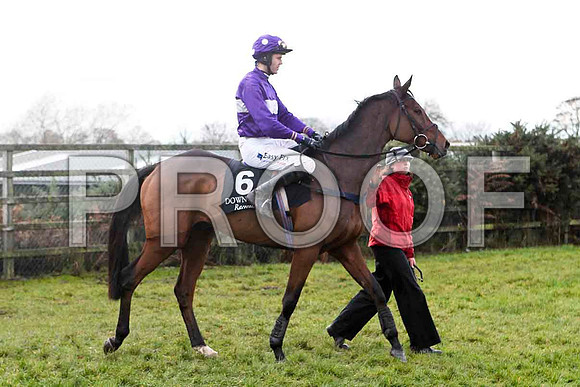 Sang Bleu , Jockey Andrew J McNamara  - 8th- FT8E4866-e