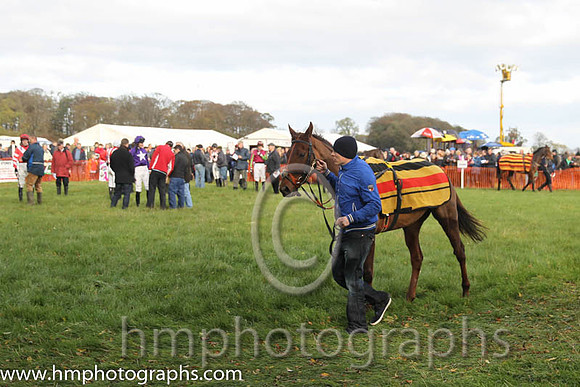 The parade ring at Loughanmore