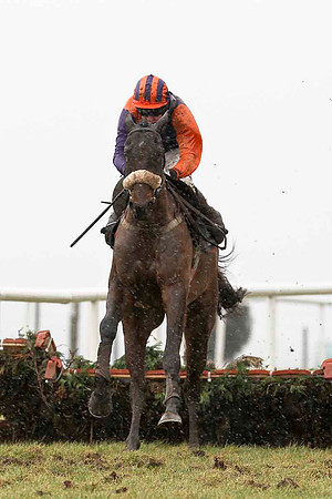 Lord Rory 17th, Jockey A E Lynch - CU2D3241-e