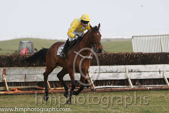 07th PU Super Scorpion ( 16 )  M J Lynch - Trainer: Mark L Fagan - yellow, blue spots