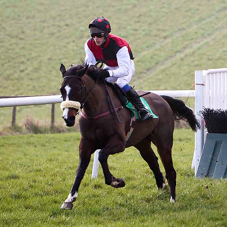 Garamor Boy - Winner, Jockey M P Burke - FT8E0416-e