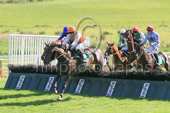 Sphagnum and Denis O'Regan (orange and green star) jumping the last to win Race 4 The Downpatrick Racecourse Best Dressed Lady Handicap Hurdle