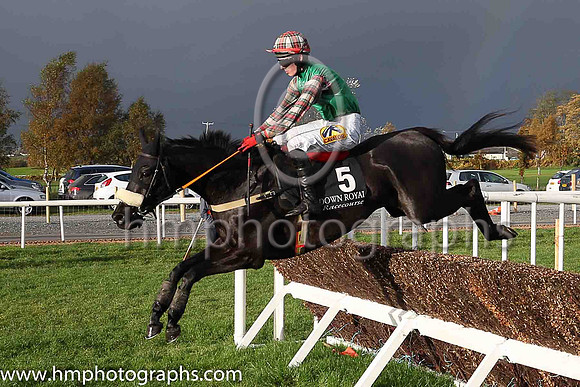 03rd Round Tower and D Meyler ( 5 , light green, dark blue diagonal stripes ) Trainer - K Thornton , Owner - James Francis Brennan