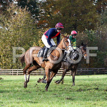 CU2D0390-e