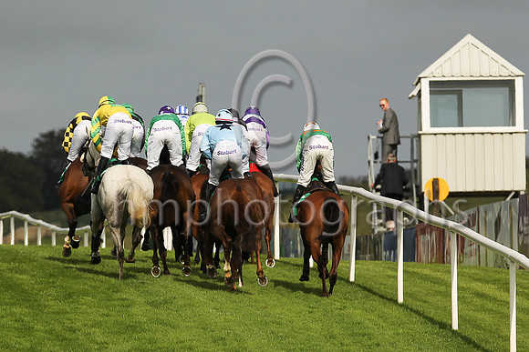 Horses climb the hill at Downpatrick races under the watchful eye of a Steward