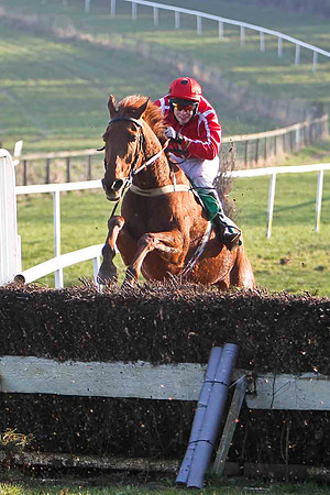 Jamadiel 7th, Jockey Mr J J Slevin -FT8E0524-e
