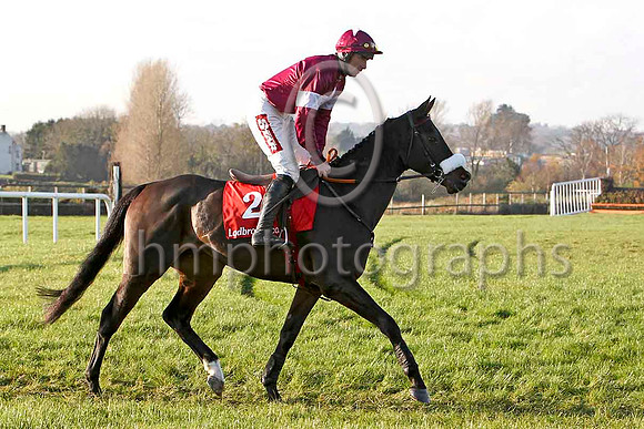 Roi Du Mee , 2nd - Jockey D N Russell - FT8E7033-e