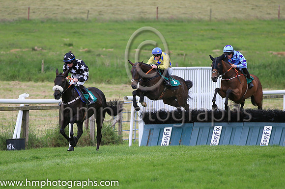 fell Glendars Mahler (4,black, white stars) , Rider Aiden Kelly, Trainer James Andrew Fahey