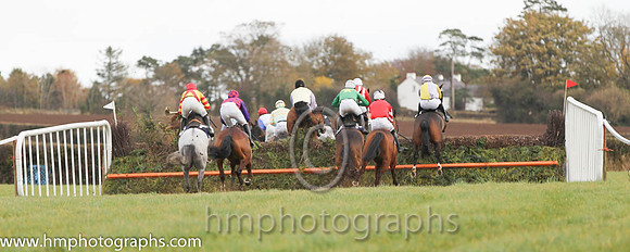Iveagh Foxhounds P2p at Maralin - FT8E0833-11