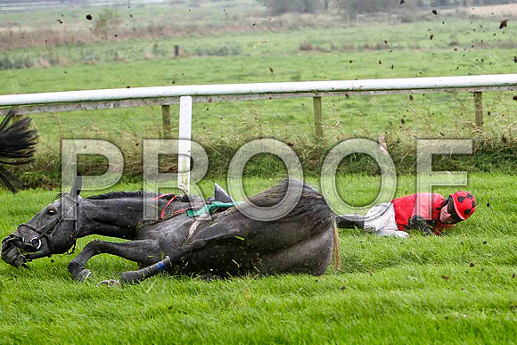 Jack Bene , Fell - Jockey P T Enright - FT8E5226-e