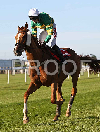 Wins Now 7th, Jockey N P Madden - CU2D0175-e