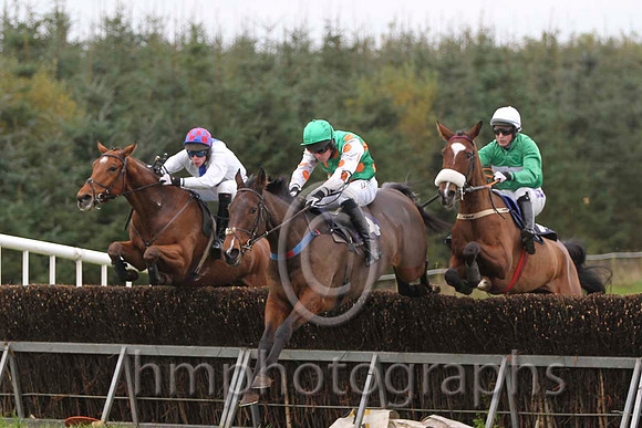 11 Seacon Beg & W Thompson - PU (14, white, blue panel), 10 Go Conquer & B O'Neill - Fell (4, emerald green, orange spots) & 06 OneHellOfANiceGuy & David Joseph O'Leary - 6th (13, emerald green, white