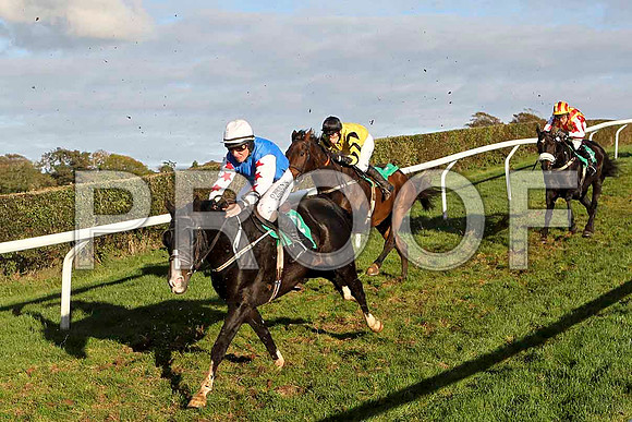 American Star , Jockey P T Enright - 7th  - FT8E4455-e