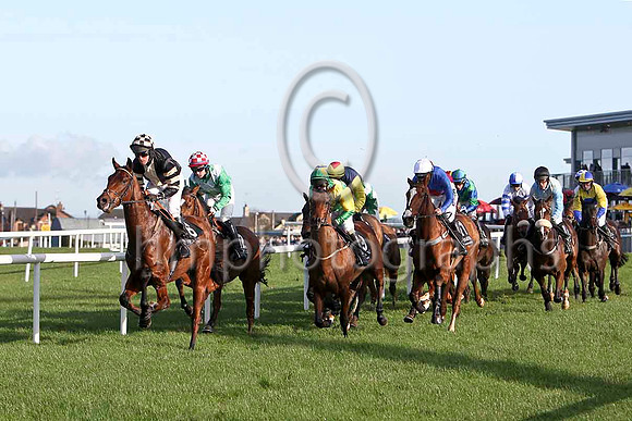 Gemara ,12th  - Jockey K Whelan in the lead -FT8E6406-e