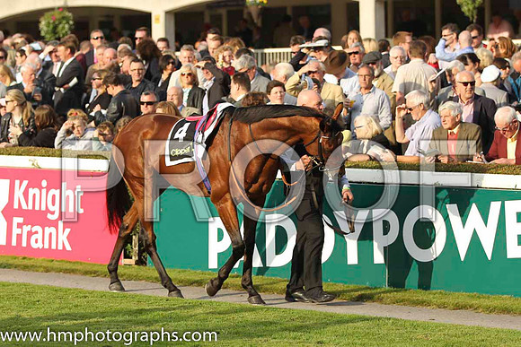 06 Parish Hall and K J Manning - - 06th (4 ,white, purple panel ) Trainer - B Ellison