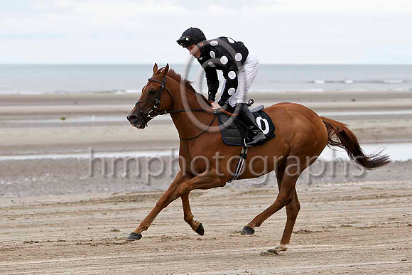 Speed Dream 6th, Jockey W J Supple - FT8E4065-e