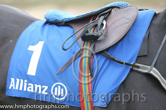 02 Glenquest and A E Lynch - - 02nd (1 ,emerald green, purple star ) Trainer - S R B Crawford