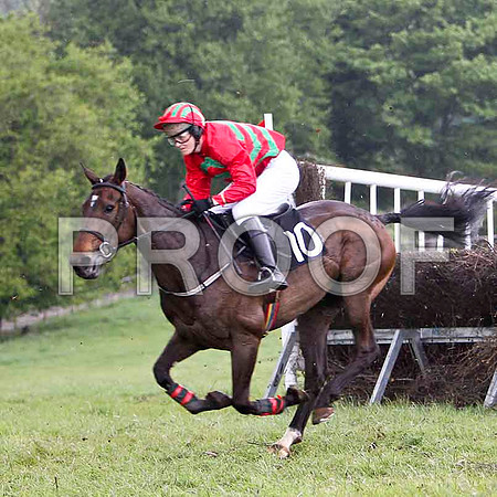 Educated Guess , 7th, Jockey Ms C V Annan  - FT8E2589-e