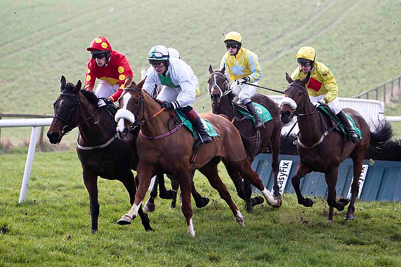 Shantalla - 7th , Ounaja - 5th, Couleur de La Loi - 8th , Mister Jim Jim 9th & - Killegney - 6th -FT8E0423-e