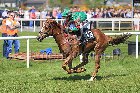 01st Ornua and B T O?Connell ( 13 , green, red disc ) Trainer - H de Bromhead , Owner - John J Phelan , Syed Momin
