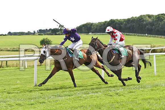City Hustler 3rd , Jockey Mr M P Fogarty & Breeze with Ease, 4th, Jockey E J O'Connell - FT8E2955-e