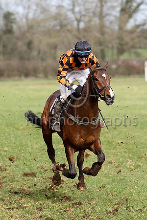 Fifth Race - Mister Philson 2nd- CU2D7147-e