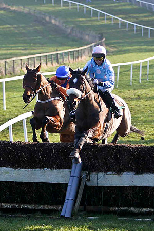 Inoma James (white noseband) , 8th Jockey C D Maxwell - FT8E0489-e
