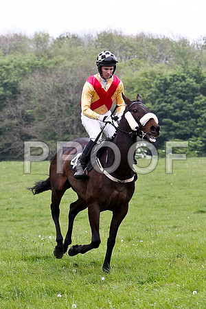 Durless Lady , PU, Jockey D A Fitzsimmons - FT8E2630-e