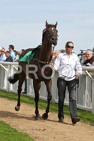 Nivek's Dream 5th, A P Thornton- CU2D1661-e