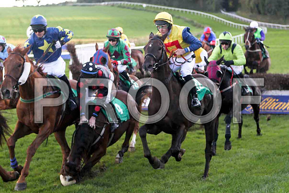 Kerzak unseating Jockey M W Bowes - FT8E4474-e