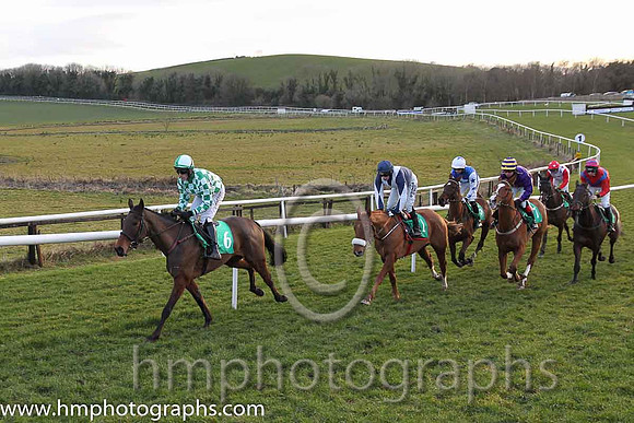 04 Rathvilly Grand &amp; M. Fahey (3) - Trainer: Miss Tara Lee Cogan - Owner: Thomas A. Nolan ( green and white check )