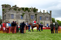 Necarne Parade Ring - CU2D2198-Edit-17