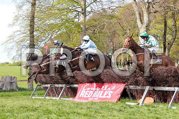 Miss Miyagi (11) , Winner, Jockey - J J Codd - CU2D4675-e