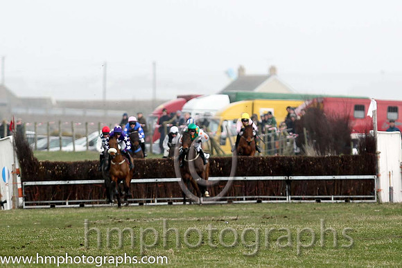 Race 3 East Down Foxhounds P2P at Tyrella